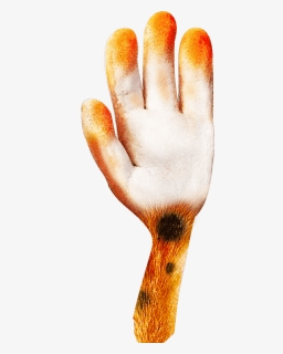 Goldfish, HD Png Download, Free Download