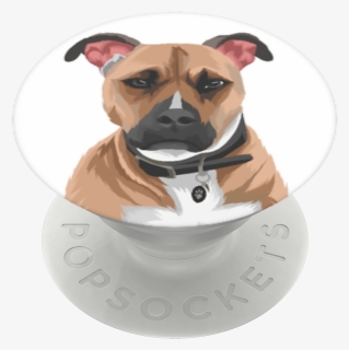 Aspca Harley Popsockets Popgrip - Boxer, HD Png Download, Free Download