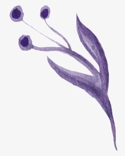 Deep Purple Flower Cartoon Transparent - Lily Family, HD Png Download, Free Download