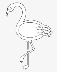 Outline Images Of Flamingo, HD Png Download, Free Download