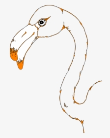 Transparent Flamingo Vector Png - Flamingo Head Coloring Pages, Png Download, Free Download