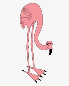Flamingo Bird Pink Free Picture - Flamencos Animados Png, Transparent Png, Free Download