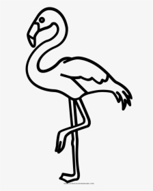 Flamingo Drawing Outline - Flamingo Clipart Silhouette, HD Png Download, Free Download