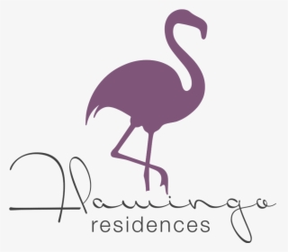 Vector Graphics Clip Art Silhouette Flamingo Illustration - Flamingo Mandalas Silhouette Png, Transparent Png, Free Download