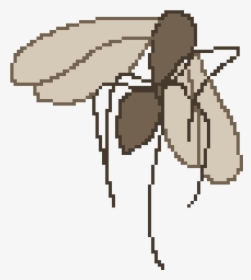 Membrane-winged Insect , Png Download - Cartoon, Transparent Png, Free Download