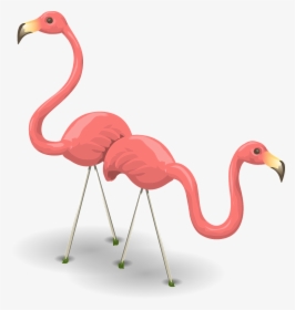 Flamingos, Birds, Pink, Flamingoes, Wildlife - สีชมพู ฟ ลา มิ ง โก้, HD Png Download, Free Download