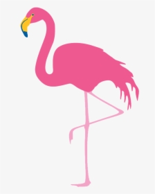 Flamingo Png Free Download - Tags Flamingo, Transparent Png, Free Download