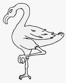 Details, Png - Duck - Duck, Transparent Png, Free Download