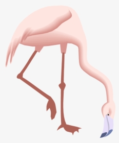 Flamingo Clipart 2 Legged Animal - Pink Flamingo Silhouette, HD Png Download, Free Download