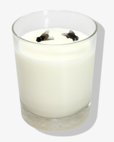Copodeleite - House Flies, HD Png Download, Free Download