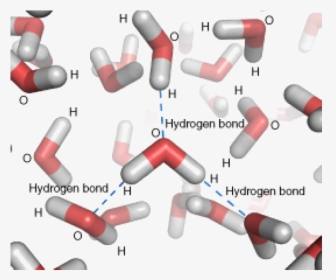Hydrogen Bond, HD Png Download, Free Download