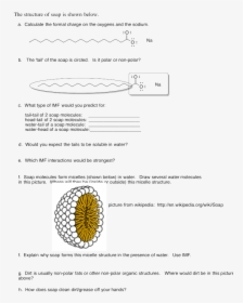 Micelle, HD Png Download, Free Download