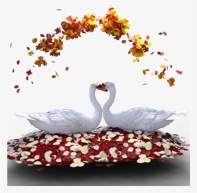 Transparent Swan Clipart - Imagenes De Cisnes De Amor, HD Png Download, Free Download