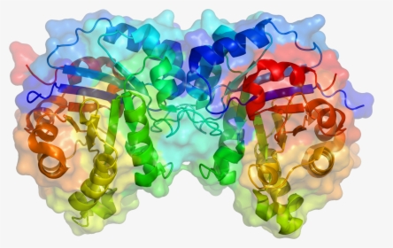 Glucose Biosensor, HD Png Download, Free Download