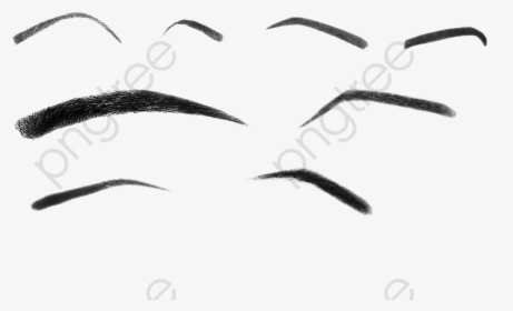 Eyebrow Brush Clipart - Sketch, HD Png Download, Free Download