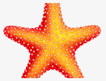 Sea Star Clipart Png, Transparent Png, Free Download