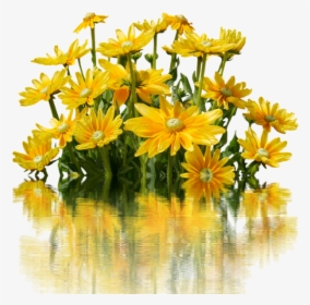 Flores Amarillos Png, Transparent Png, Free Download