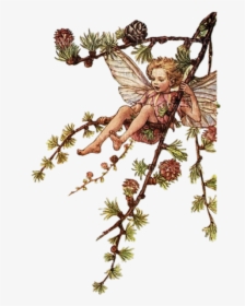 Flower Fairies Of The Spring Book, HD Png Download, Free Download