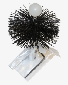 Brush - Sea Urchin, HD Png Download, Free Download