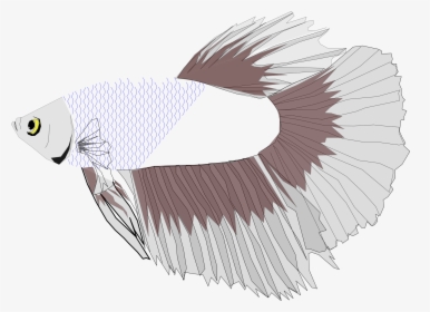 Betta Fish Icon Png, Transparent Png, Free Download