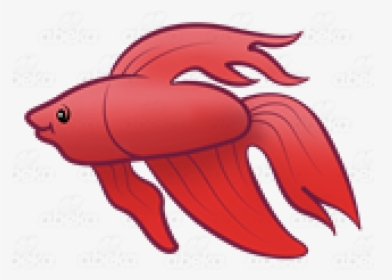 Red Betta Fish Clipart, HD Png Download, Free Download