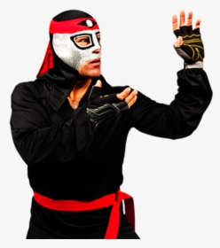 Octagon Aaa Lucha Libre, HD Png Download, Free Download