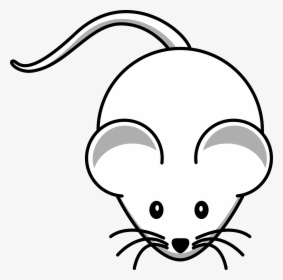 Collection Of Free Mouse Vector Laboratory - Mouse Drawing, HD Png Download, Free Download
