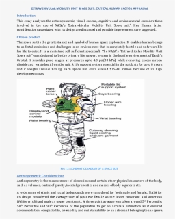 Space Suit Dimensions, HD Png Download, Free Download