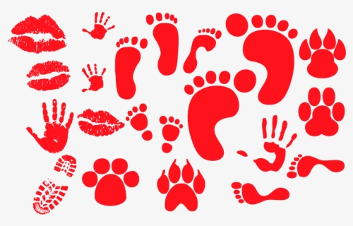 Png Animal Footprints, Transparent Png, Free Download
