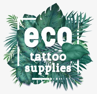 Ecosupplieslogo - Illustration, HD Png Download, Free Download