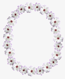 Oval White Frame Png, Transparent Png, Free Download