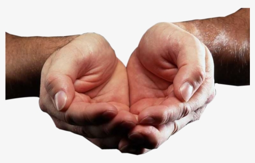 Transparent Cupped Hands Png - Hands In A Cup, Png Download, Free Download