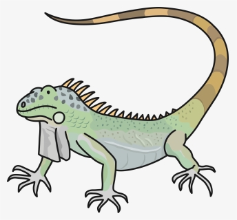 Marine Iguana Cartoon , Png Download - Iguana Png Cartoon, Transparent Png, Free Download