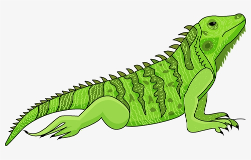 Iguana Clipart - Crocodile, HD Png Download, Free Download