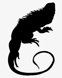 Reptile Svg, HD Png Download, Free Download