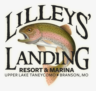 Branson Fishing Resort - Lilleys Landing Resort, HD Png Download, Free Download