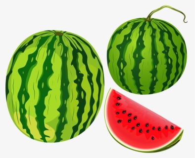 Cantaloupe Clipart Telugu - Watermelon Clipart, HD Png Download, Free Download