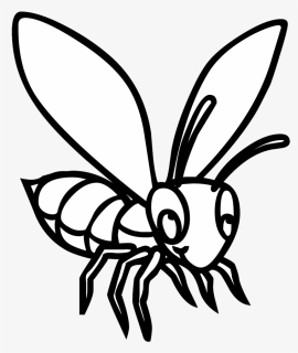 Black White Drawing Bee - Membrane-winged Insect, HD Png Download, Free Download