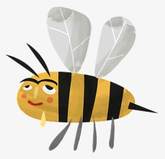 Cartoon Honey Bee Clipart - Honeybee, HD Png Download, Free Download