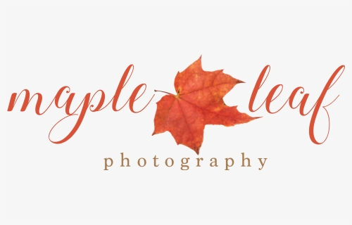 Maple Leaf Photography - Maple Leaf Photography Logo, HD Png Download, Free Download