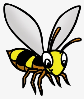 Bee Drawing In Color - Cartoon, HD Png Download, Free Download
