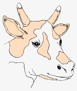 Cow Head Png, Transparent Png, Free Download