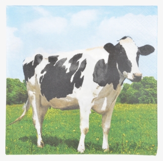 Paper Napkins Cow 33x33cm - Wellion Vet Belua Glucose Teststreifen, HD Png Download, Free Download