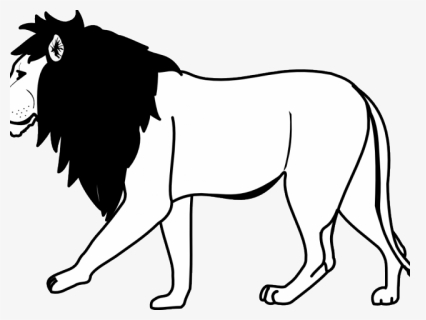 Mountain Lion Clipart Lion Body - Black And White Clip Art Lion, HD Png Download, Free Download