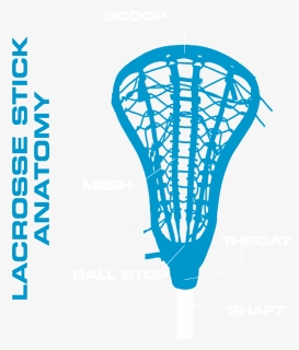 Parts Of A Lacrosse Stick, HD Png Download, Free Download