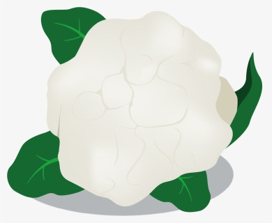 Cauliflower Transparent Image - Tortoise, HD Png Download, Free Download