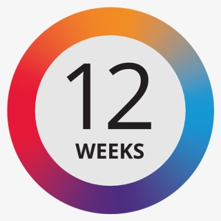 12 Weeks - Circle, HD Png Download, Free Download