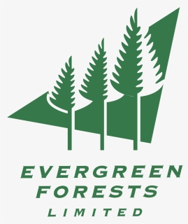 Evergreen Forests Logo Png Transparent - Evergreen Forests Icon, Png Download, Free Download