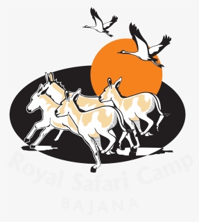 Royal Safari Camp , Png Download, Transparent Png, Free Download