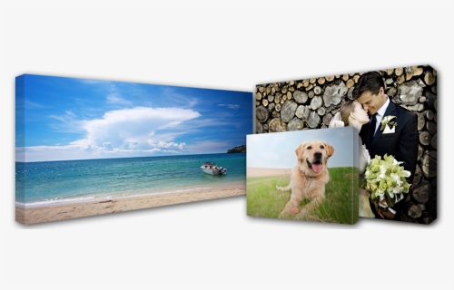 Canvas Photo Printing Singapore, HD Png Download, Free Download